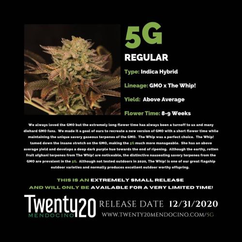 An image of 5G