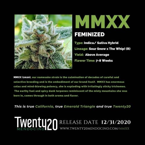 An image of MMXX