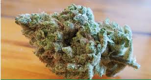 An image of SFV OG Bx5