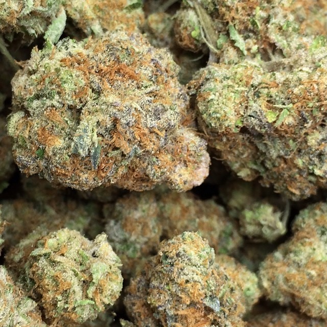 An image of Girl Scout Cookies