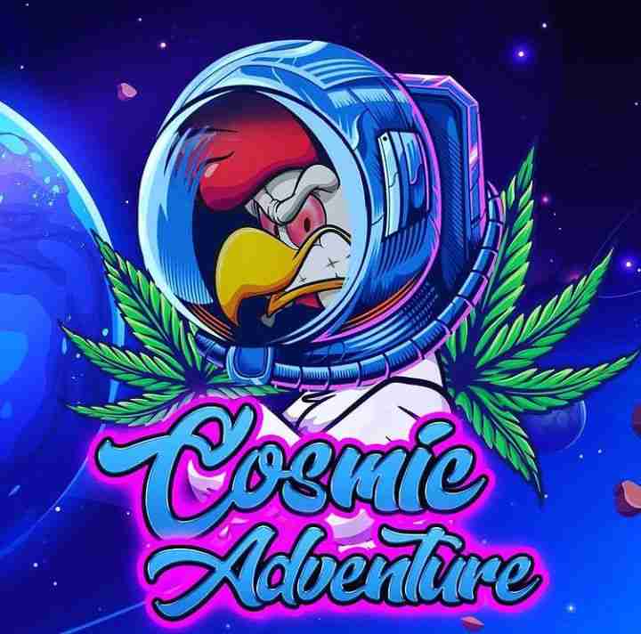 An image of Cosmic Adventure