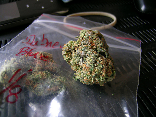 An image of Dabney Blue