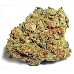 An image of LSD OG