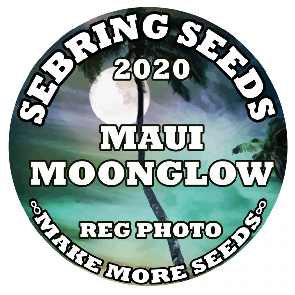 An image of Maui Moonglow