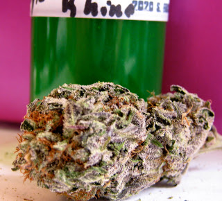 An image of Purple Rhino