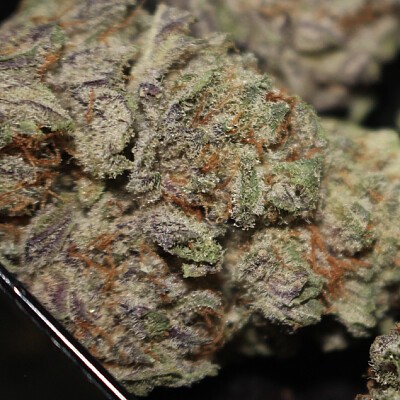 An image of Razzleberry Kush