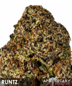 An image of Runtz