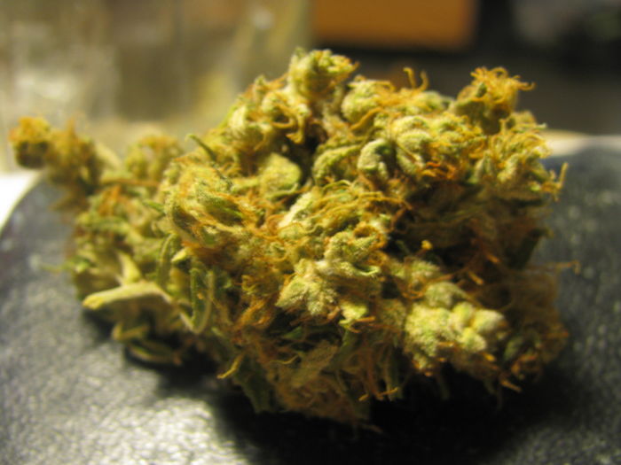 An image of Uptown Haze