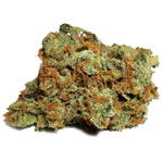 An image of XJ-13