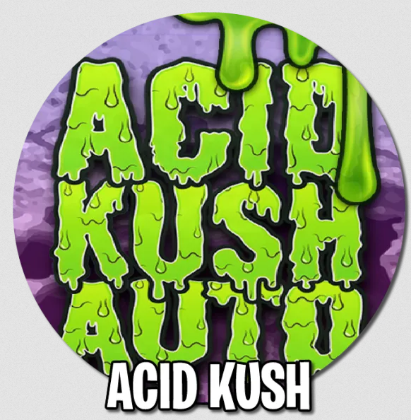An image of Acid Kush Auto