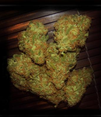 An image of Amnesia VIP