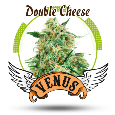 An image of Double Cheese