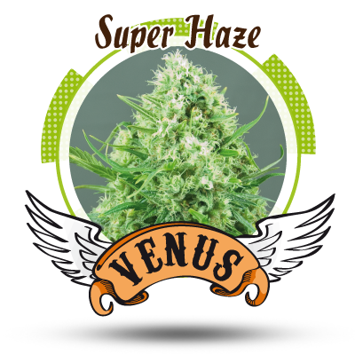 An image of Super Haze