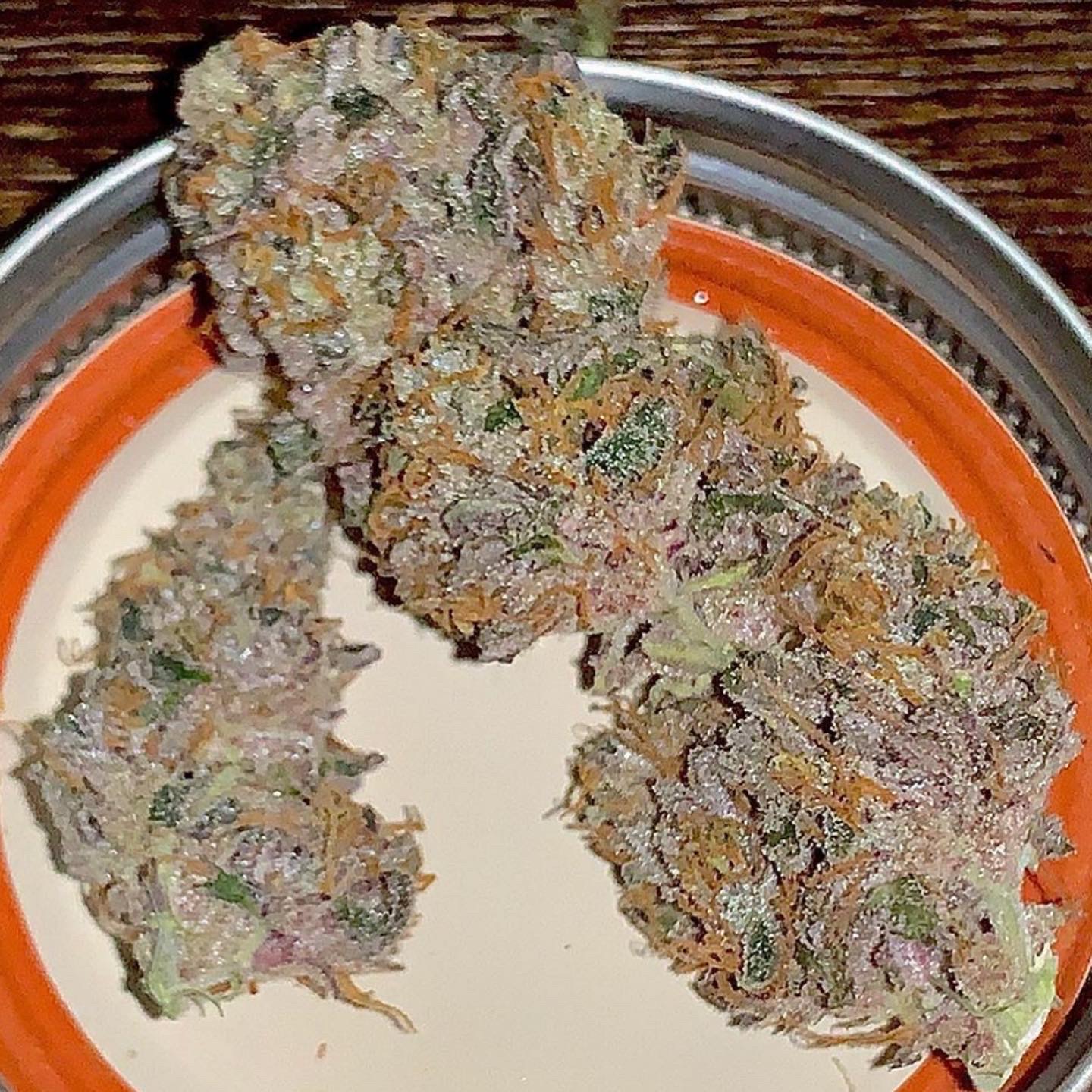 An image of Wild Berry Zkittlez AutoFlower