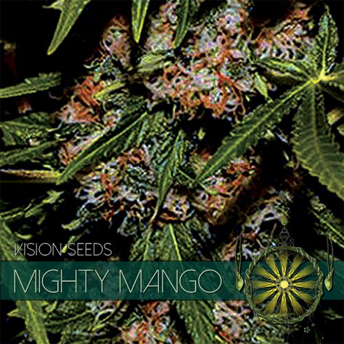 An image of Mighty Mango Bud