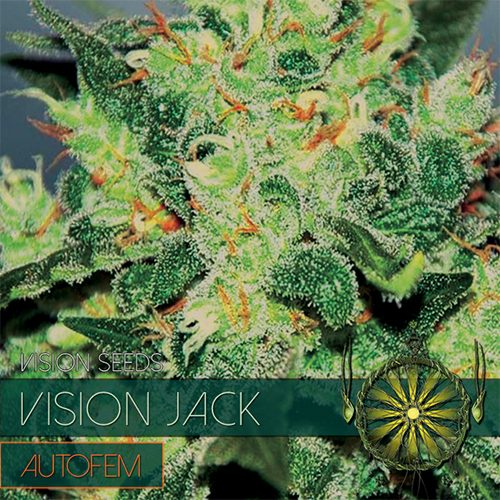 An image of Vision Jack