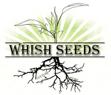 An image of AutoWhish