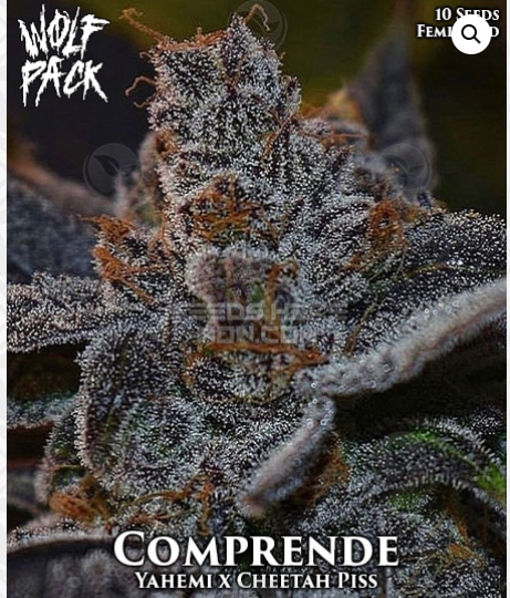 An image of Comprende