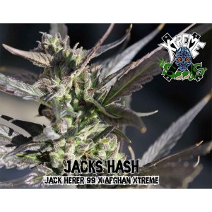 An image of Jack's Hash