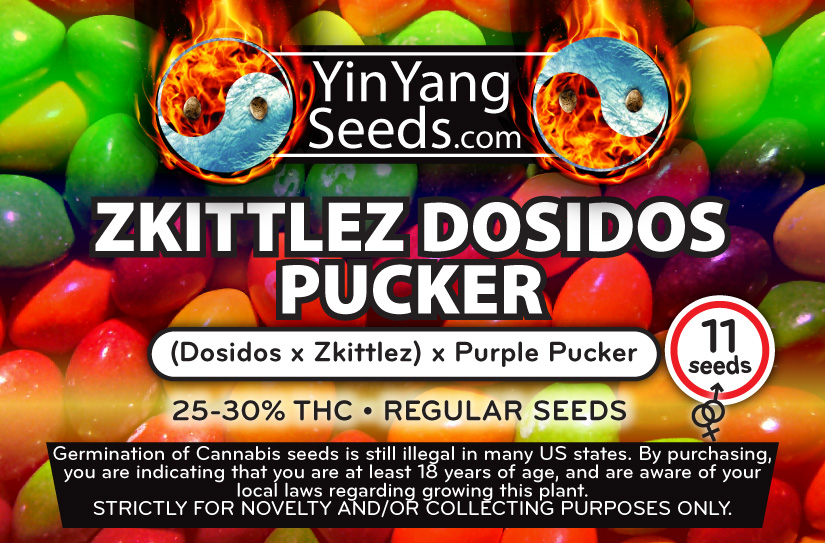 An image of Zkittlez Dosi Pucker