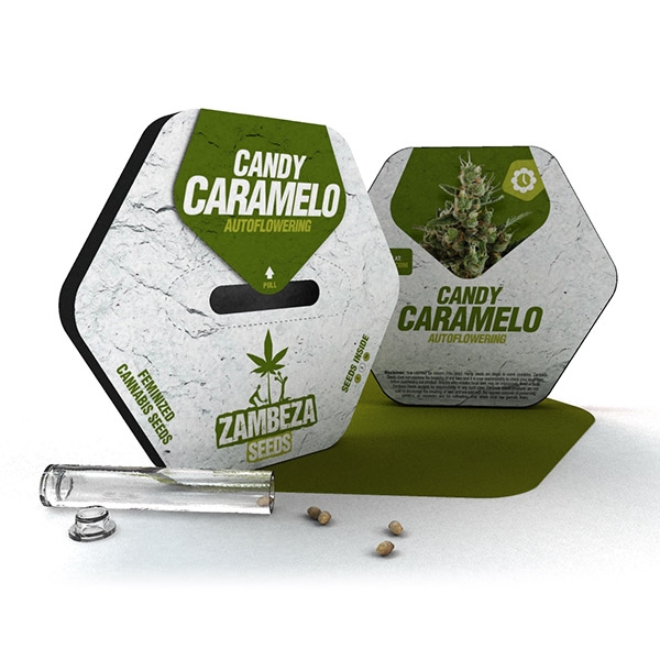 An image of Candy Caramelo Automatic