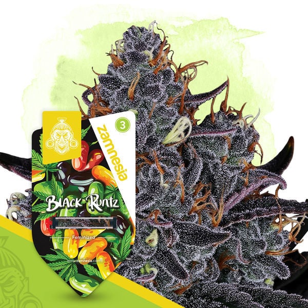 An image of Black Runtz