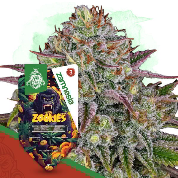 An image of Zookies