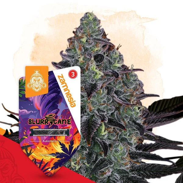 An image of Slurricane Automatic