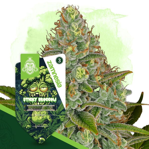An image of Sticky Broccoli Automatic