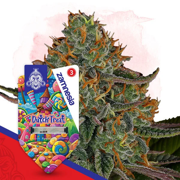 An image of Dutch Treat