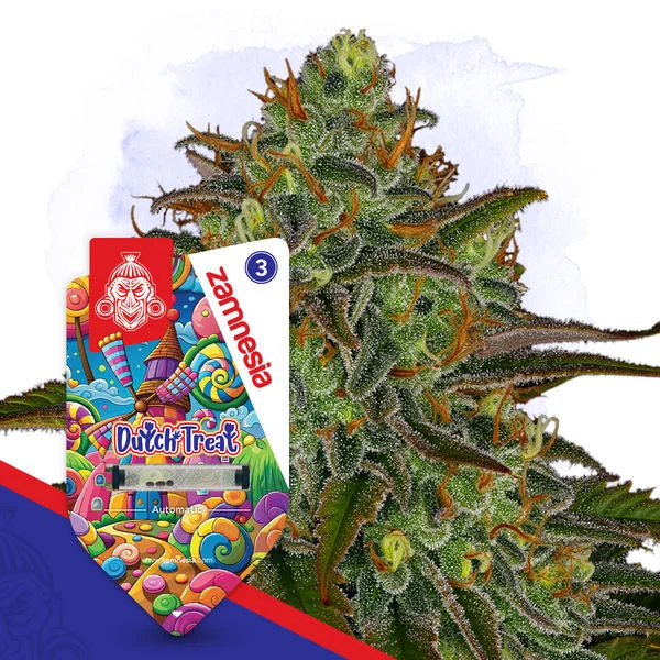 An image of Dutch Treat Automatic