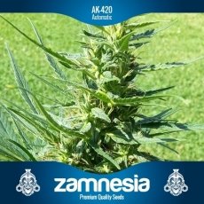 An image of AK-420 Automatic