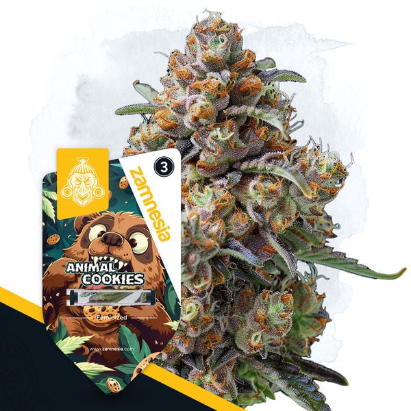 An image of Animal Cookies