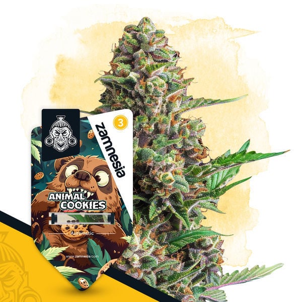 An image of Animal Cookies Automatic