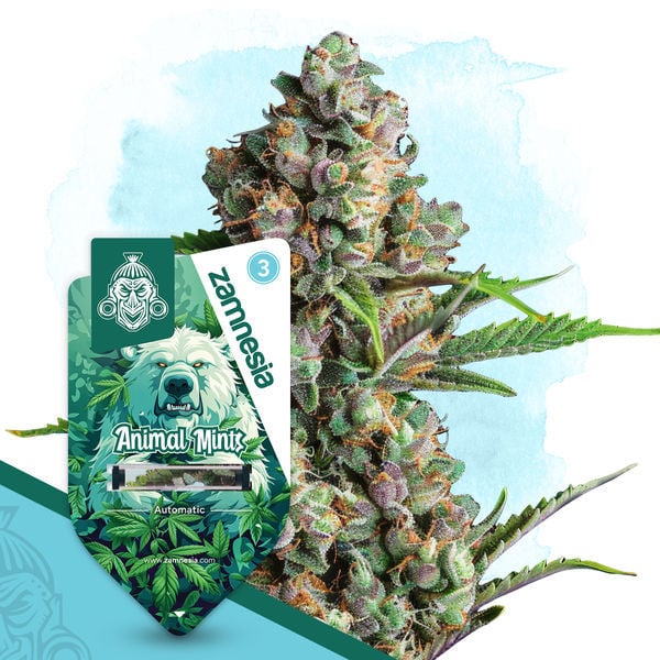 An image of Animal Mints Automatic
