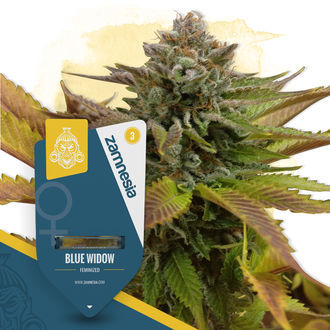 An image of Blue Widow