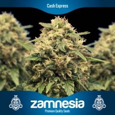 An image of Cash Express