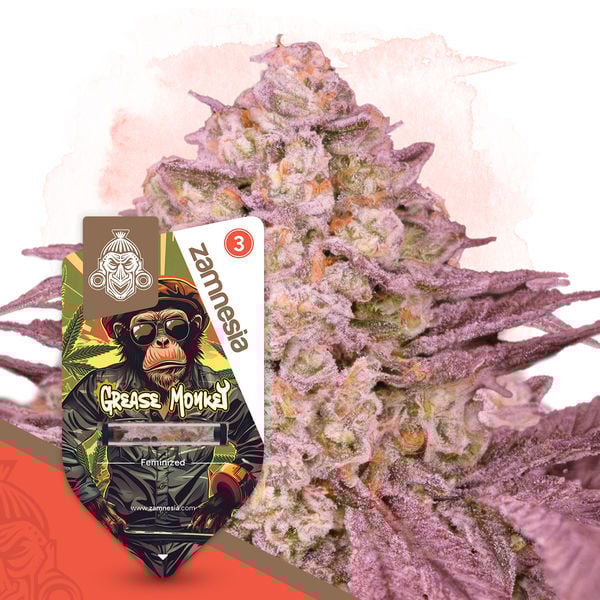 An image of Grease Monkey