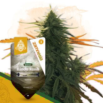 An image of Hindu Kush