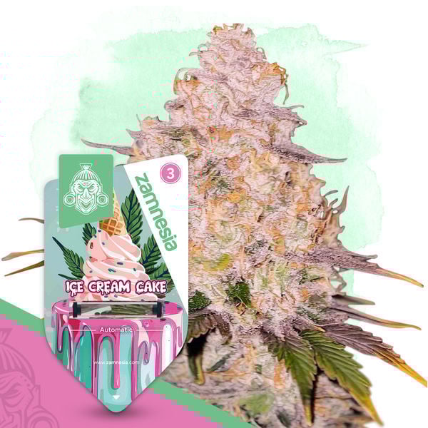 An image of Ice Cream Cake Automatic