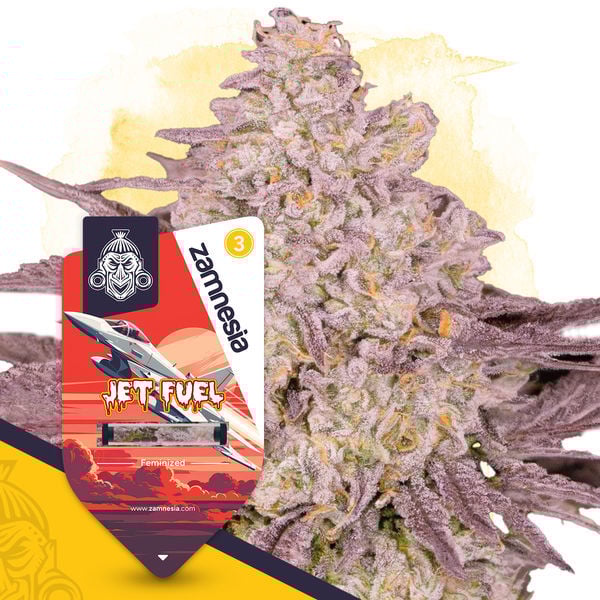 An image of Jet Fuel