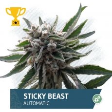 An image of Sticky Beast Automatic