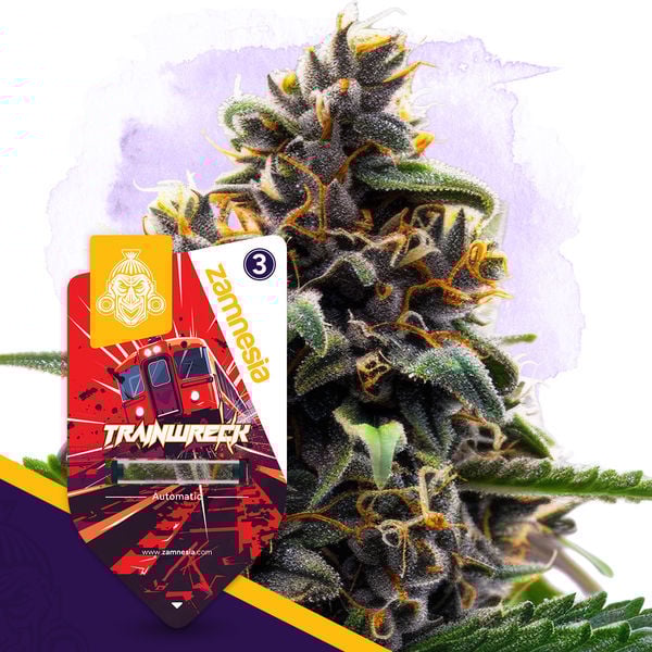 An image of Trainwreck Automatic