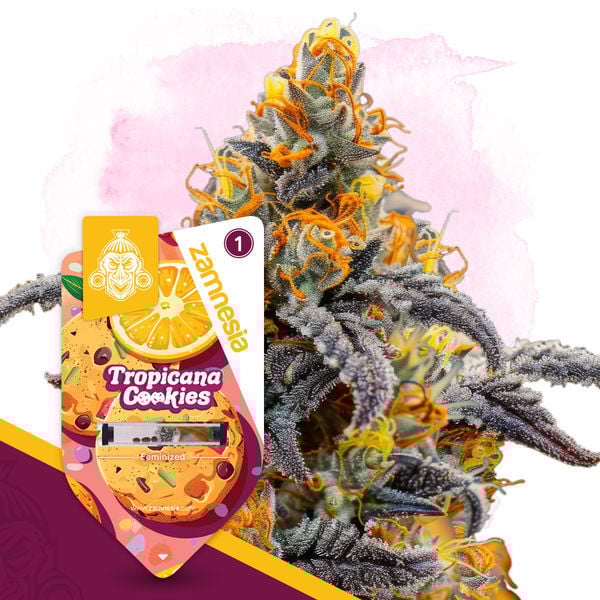 An image of Tropicana Cookies