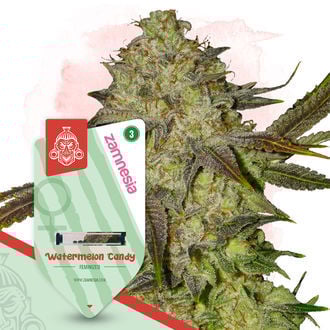 An image of Watermelon Candy