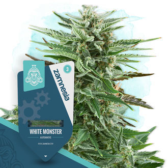 An image of White Monster Automatic