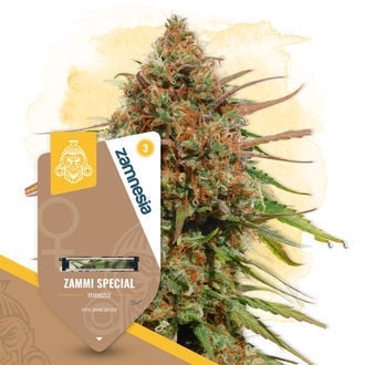 An image of Zammi Special
