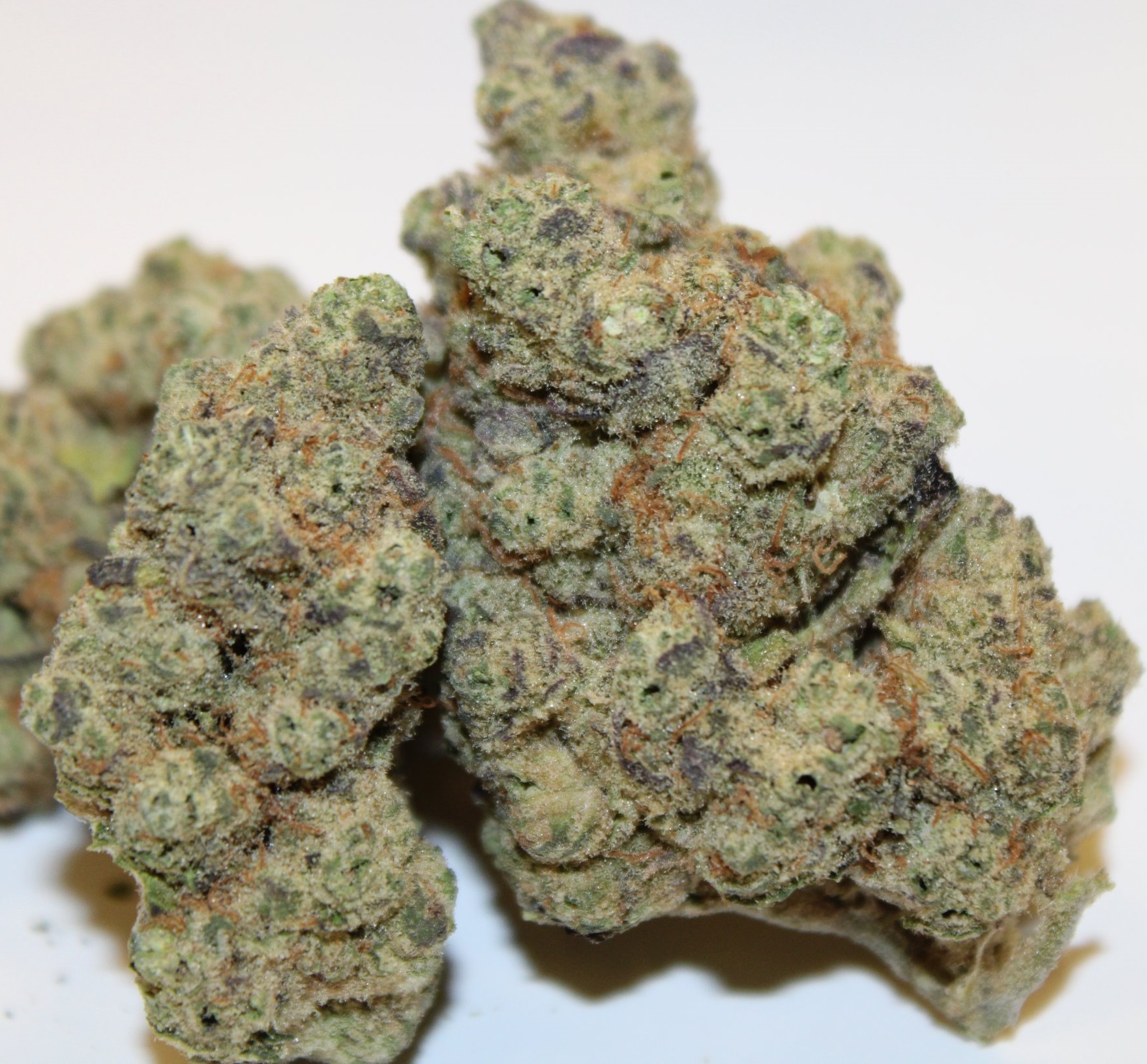 An image of Jamaican Sunset F2