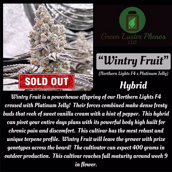 An image of Wintry Fruit