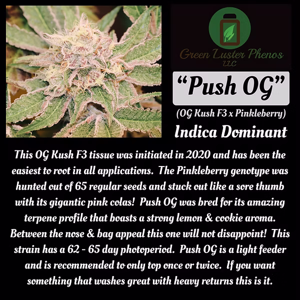 An image of Push OG